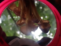 Marasmius cohaerens lachnophyllus