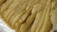 Coprinopsis cineraria