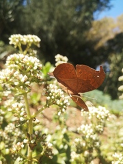 Precis tugela tugela