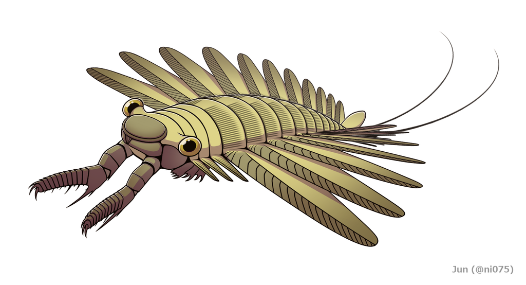 Amplectobelua