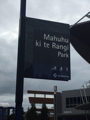 Laminicoccus flandersi