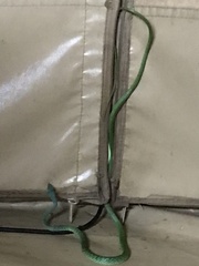 Philothamnus punctatus