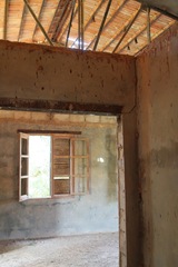 Epomophorus gambianus