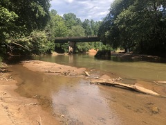 Cyprinella callisema