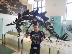 Stegosaurus stenops