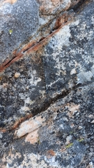 Ecchlorolestes peringueyi