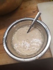 Saccharomyces cerevisiae