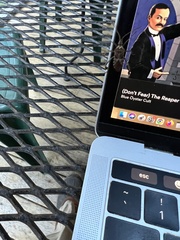 Leptoglossus clypealis