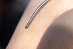 Leptotyphlops scutifrons