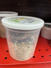 Alphitobius diaperinus