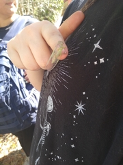 Neocicada hieroglyphica