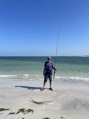 Carcharhinus acronotus