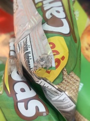 Paraphidippus fartilis