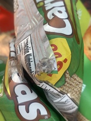 Paraphidippus fartilis