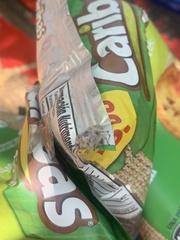 Paraphidippus fartilis