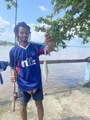 Alestes macrophthalmus