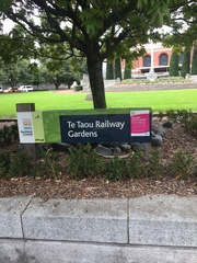 Coccotrypes dactyliperda