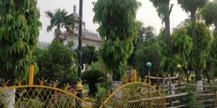 Monoon