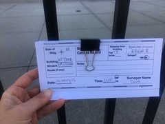 Pheucticus ludovicianus