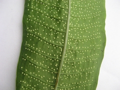 Microsorum membranaceum