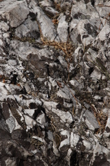 Ecchlorolestes peringueyi