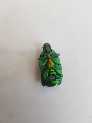 Heterorrhina sexmaculata