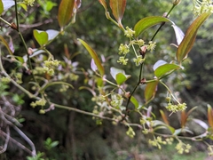 © chenleefy, some rights reserved (CC-BY-NC)