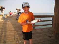 Scomberomorus maculatus