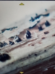 Leptosphaeria acuta