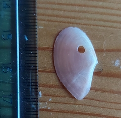 Bosemprella incarnata