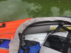 Micropterus treculii