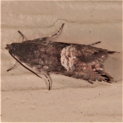 Sereda
