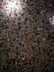 Tantilla hobartsmithi