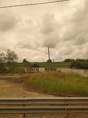 Chamaenerion angustifolium