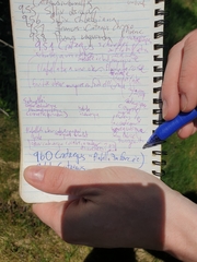 Crataegus fluviatilis