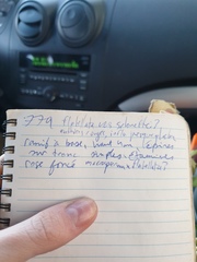 Crataegus fluviatilis