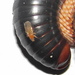 Millipede Killer - Photo (c) Peter Vos, some rights reserved (CC BY-NC), uploaded by Peter Vos