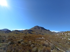 Arthroleptella draconella