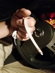 Arizona elegans candida