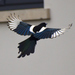 Eurasian Magpie - Photo (c) bitsnbirds, some rights reserved (CC BY-NC), uploaded by bitsnbirds