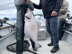 Hippoglossus stenolepis