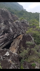 Tillandsia streptocarpa