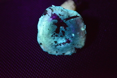 Russula roseopileata