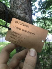 Lindera erythrocarpa