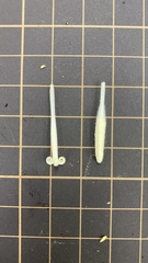 Campanula punctata punctata