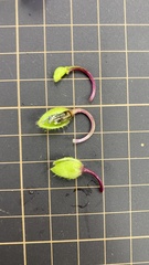 Tradescantia virginiana