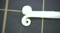 Campanula punctata punctata