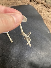Passeriformes