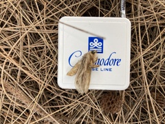 Noctuoidea