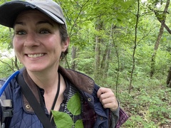 Phaseolus polystachios